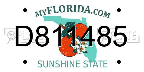 D811485 Florida License Plate