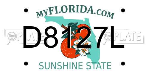 D8127L Florida License Plate
