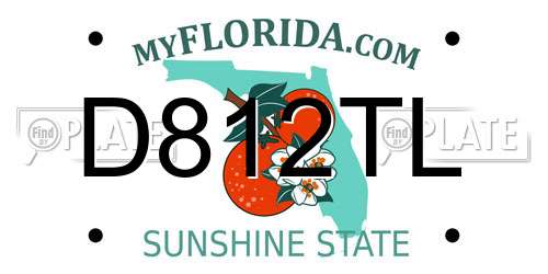D812TL Florida License Plate