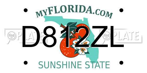 D812ZL Florida License Plate