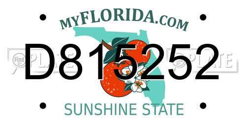 D815252 Florida License Plate