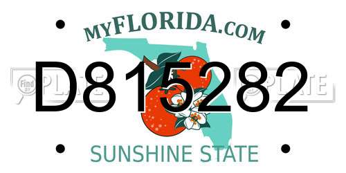 D815282 Florida License Plate