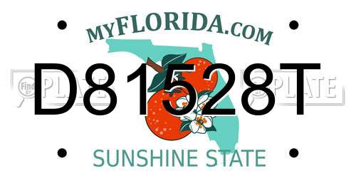 D81528T Florida License Plate