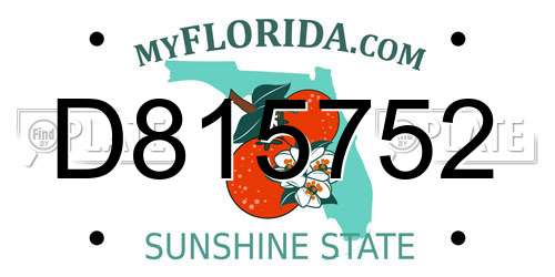 D815752 Florida License Plate