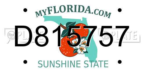 D815757 Florida License Plate