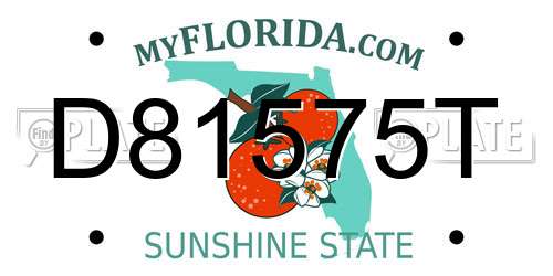 D81575T Florida License Plate