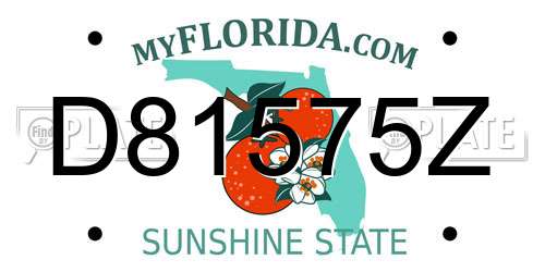 D81575Z Florida License Plate