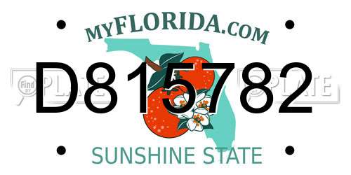 D815782 Florida License Plate