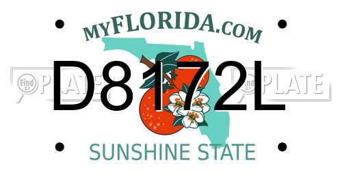 D8172L Florida License Plate