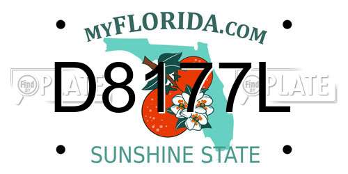D8177L Florida License Plate