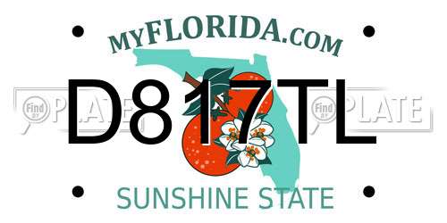 D817TL Florida License Plate