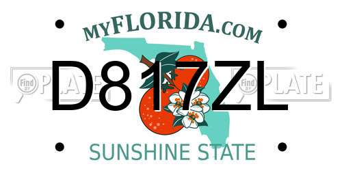 D817ZL Florida License Plate