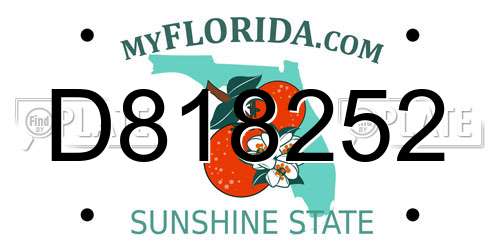 D818252 Florida License Plate