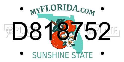 D818752 Florida License Plate