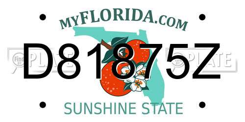 D81875Z Florida License Plate