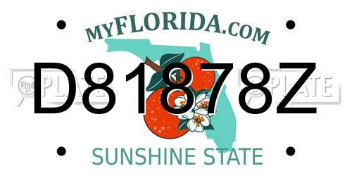 D81878Z Florida License Plate