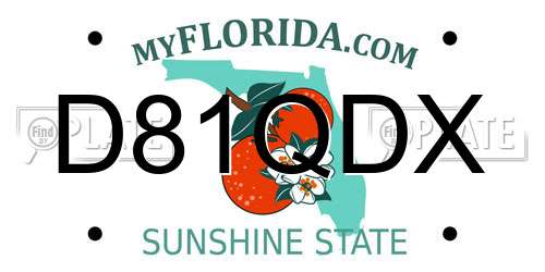 D81QDX Florida License Plate