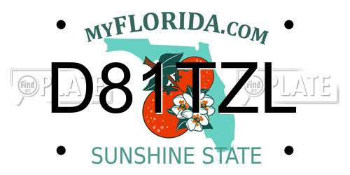 D81TZL Florida License Plate