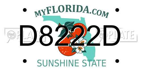 D8222D Florida License Plate