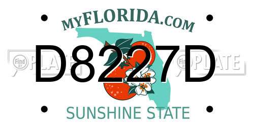 D8227D Florida License Plate