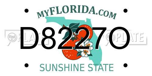 D8227O Florida License Plate