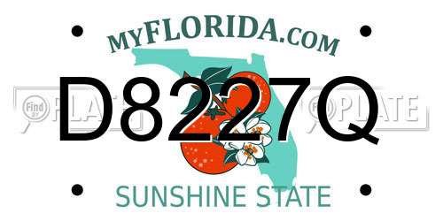 D8227Q Florida License Plate