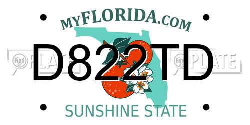 D822TD Florida License Plate