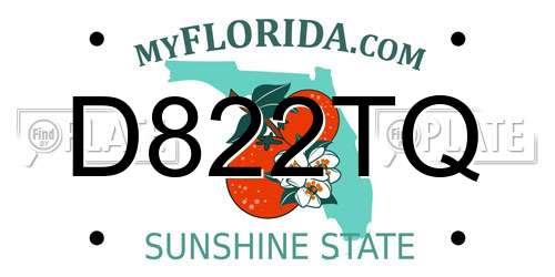 D822TQ Florida License Plate