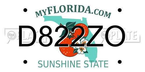 D822ZO Florida License Plate
