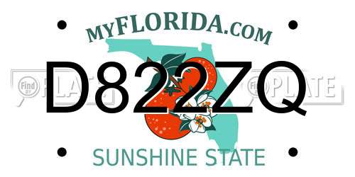 D822ZQ Florida License Plate