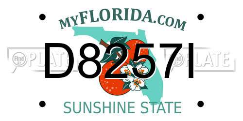 D8257I Florida License Plate