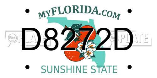 D8272D Florida License Plate