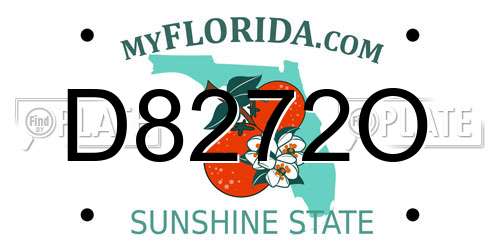 D8272O Florida License Plate