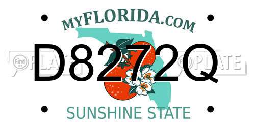 D8272Q Florida License Plate