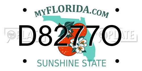 D8277O Florida License Plate
