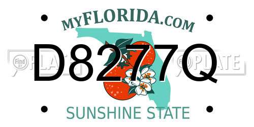 D8277Q Florida License Plate