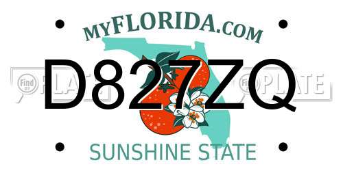 D827ZQ Florida License Plate