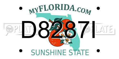 D8287I Florida License Plate