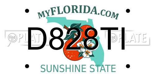 D828TI Florida License Plate
