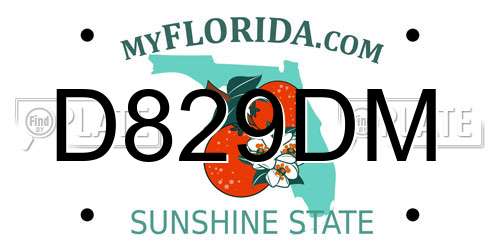 D829DM Florida License Plate