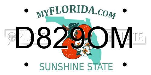 D829OM Florida License Plate