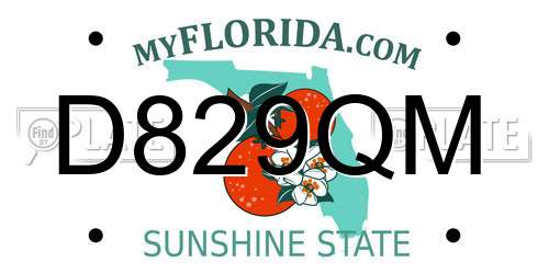 D829QM Florida License Plate