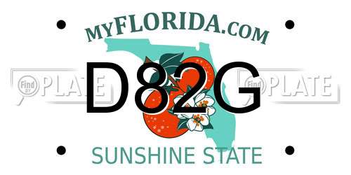 D82G Florida License Plate