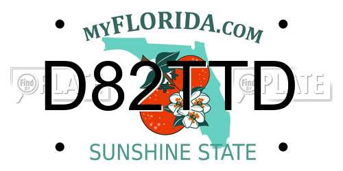 D82TTD Florida License Plate