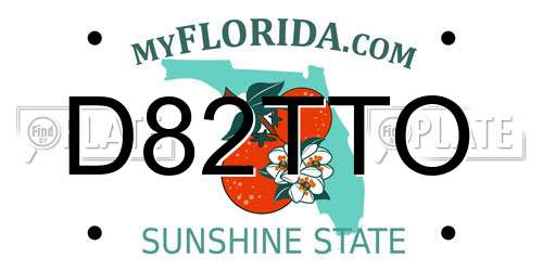 D82TTO Florida License Plate