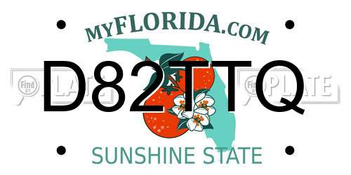 D82TTQ Florida License Plate