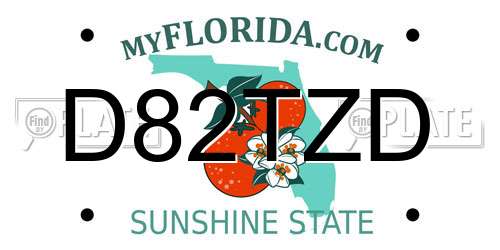 D82TZD Florida License Plate