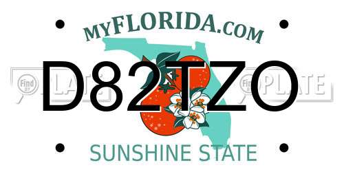 D82TZO Florida License Plate