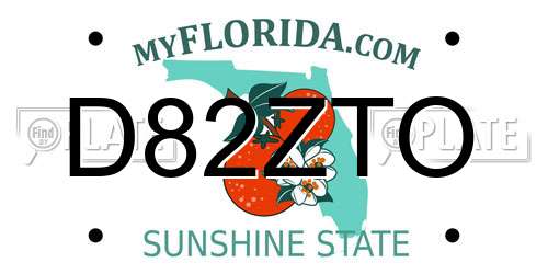 D82ZTO Florida License Plate