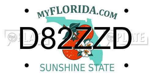 D82ZZD Florida License Plate